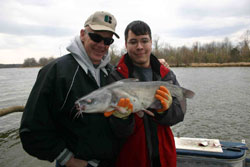 Bryan and Jarrod Sims