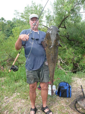 Parks_Rountrey_-_29_Lb_Flathead_on_4_Fly_-_New_Club_Record.JPG