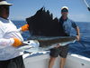 Filename=Matt_Anderson_Costa_Rica.jpg
Filesize=329KiB
Dimensions=2048x1536
Date added=Jan 21, 2010 Matt_Anderson_Costa_Rica.jpg