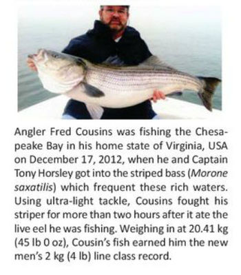 Cousins World Record Striper
