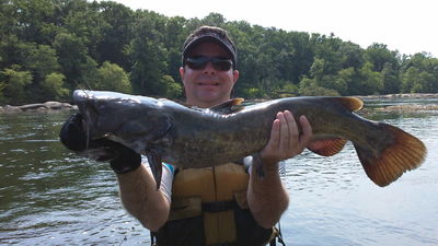 Lee Huss - 29in Flathead - 7-4 James River
