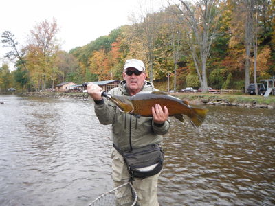 Lynn Spurlin - Oak Orchard 10-8 Brown Trout
