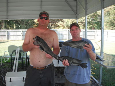 Robbie Robinson and Jeff Doughty - Nice Sept Black Sea Bass
