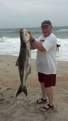 Sal Peluso - 38-11 Cobia Caught in the Surf 
