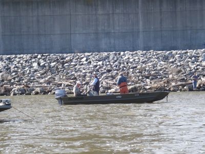 Shad Tournament
