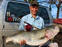 Andy_Campbell__-_34-6_Striper_on_20lb_FLY~0.jpg