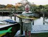Filename=Budddy_Noland_-_Dolphin_5_18_13a.jpg
Filesize=37KiB
Dimensions=392x304
Date added=Oct 20, 2013 Budddy_Noland_-_Dolphin_5_18_13a.jpg