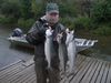 Filename=Chum_Salmon.JPG
Filesize=171KiB
Dimensions=1024x768
Date added=Oct 10, 2012 Chum_Salmon.JPG