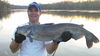 Filename=Lee_Huss_-_16lb_Blue.JPG
Filesize=258KiB
Dimensions=2048x1152
Date added=Oct 20, 2013 Lee_Huss_-_16lb_Blue.JPG
