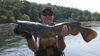 Filename=Lee_Huss_-_29in_Flathead_-_7-4_James_River.jpg
Filesize=415KiB
Dimensions=2048x1152
Date added=Jul 25, 2012 Lee_Huss_-_29in_Flathead_-_7-4_James_River.jpg