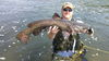 Filename=Lee_Rothgeb_-_35in_Flathead_-_7-4_James_River.jpg
Filesize=459KiB
Dimensions=2048x1152
Date added=Jul 25, 2012 Lee_Rothgeb_-_35in_Flathead_-_7-4_James_River.jpg
