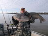 Filename=Lee_Rothgeb_-_60-8_Blue_Cat.jpg
Filesize=368KiB
Dimensions=2047x1528
Date added=Dec 29, 2012 Lee_Rothgeb_-_60-8_Blue_Cat.jpg