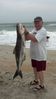 Filename=Sal_Peluso_-_38-11_Cobia_Caught_in_the_Surf_2.jpg
Filesize=311KiB
Dimensions=1154x2047
Date added=Jul 15, 2012 Sal_Peluso_-_38-11_Cobia_Caught_in_the_Surf_2.jpg