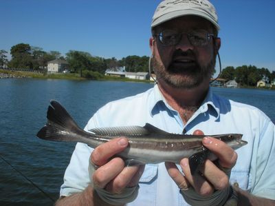 Fred with cobia extra small - Gwynns Island
