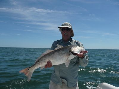 Parks Bay Reds
