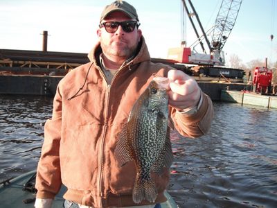 Rob Robinson 1-4 Crappie
