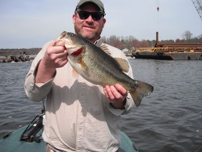 Rob Robinson - 4-8 Largemouth Bass
