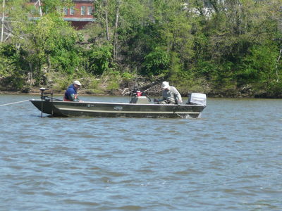 Shad Tourney 3
