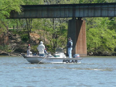 Shad Tourney 4
