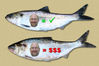 Filename=Johnny-Shad.jpg
Filesize=344KiB
Dimensions=1192x797
Date added=Apr 22, 2010 Johnny-Shad.jpg