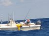 Filename=Robbie-Mike-Sailfish2.jpg
Filesize=153KiB
Dimensions=1440x1080
Date added=Jul 21, 2011 Robbie-Mike-Sailfish2.jpg