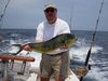 Filename=Steve_Luterek_Dolphin.JPG
Filesize=188KiB
Dimensions=1440x1080
Date added=Jul 21, 2011 Steve_Luterek_Dolphin.JPG