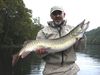 Filename=Stuart_Lee_-_New_River_Musky9_26_2010.jpg
Filesize=416KiB
Dimensions=2048x1536
Date added=Nov 07, 2010 Stuart_Lee_-_New_River_Musky9_26_2010.jpg